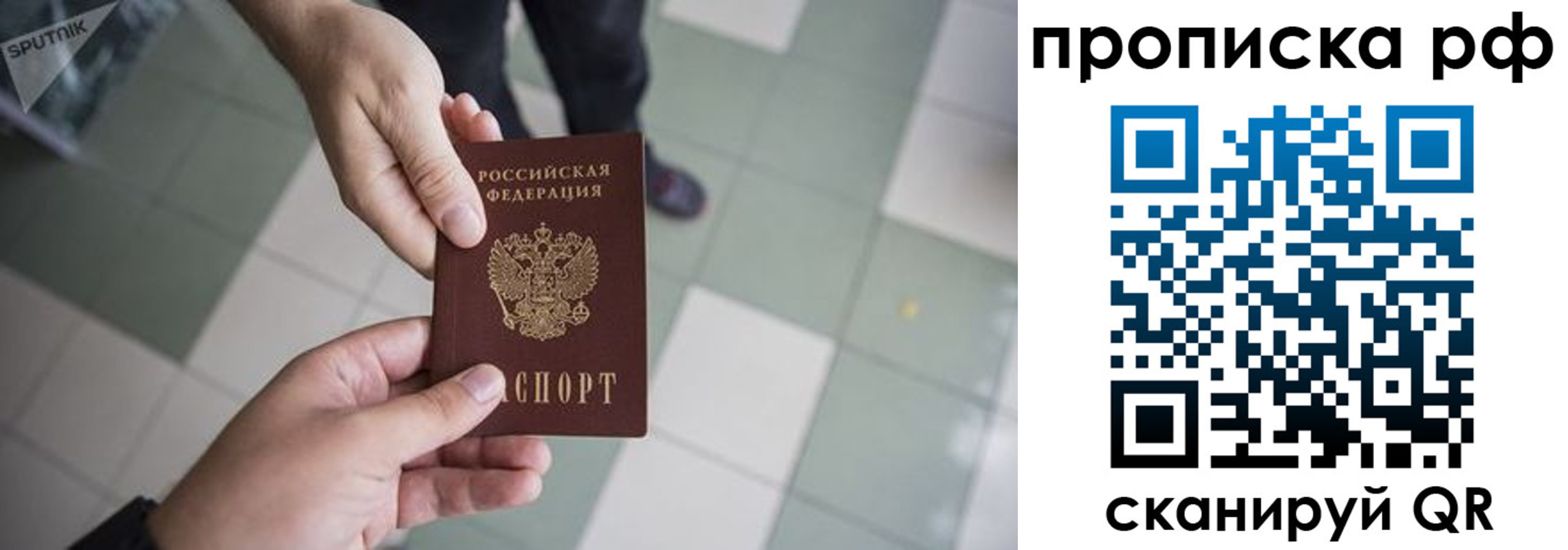 прописка гарантия в Сергиевом Посаде